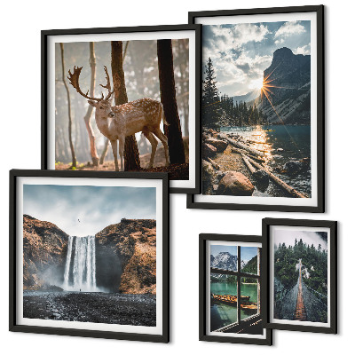Set 5 slika u okviru Krajolici priroda slapovi fauna