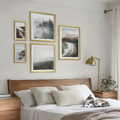 Set od 5 slika u okviru obalni krajolici i planinske šume