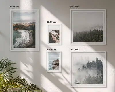 Set od 5 slika u okviru obalni krajolici i planinske šume