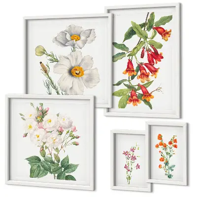 Cvjetne botaničke ilustracije set od 5 slika u okviru