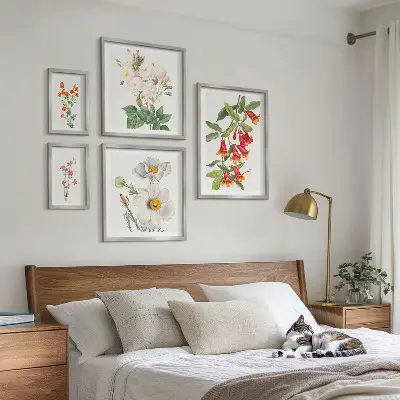 Cvjetne botaničke ilustracije set od 5 slika u okviru