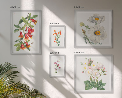 Set 5 slika u okviru Cvjetne botaničke ilustracije