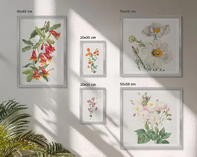 Cvjetne botaničke ilustracije set od 5 slika u okviru