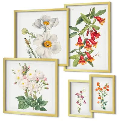 Cvjetne botaničke ilustracije set od 5 slika u okviru