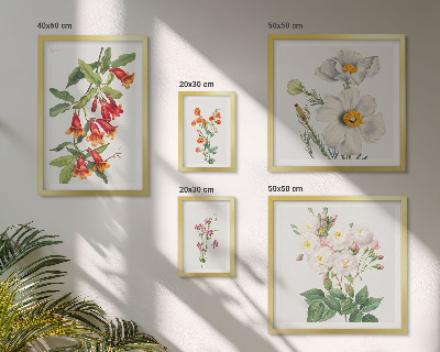 Set 5 slika u okviru Cvjetne botaničke ilustracije