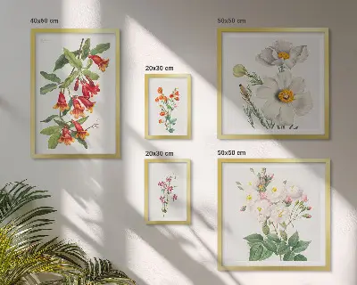 Cvjetne botaničke ilustracije set od 5 slika u okviru