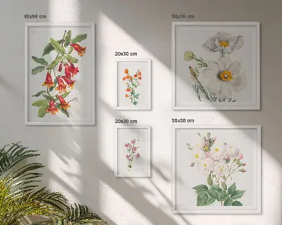 Cvjetne botaničke ilustracije set od 5 slika u okviru