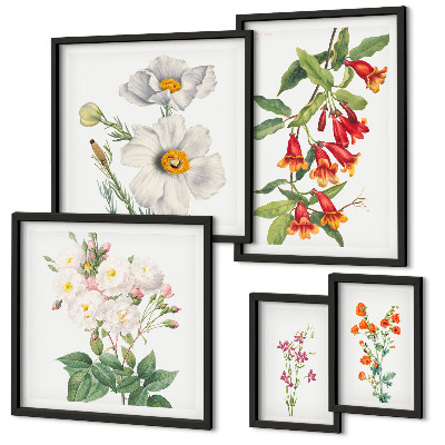 Set 5 slika u okviru Cvjetne botaničke ilustracije