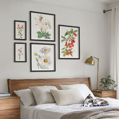 Set 5 slika u okviru Cvjetne botaničke ilustracije