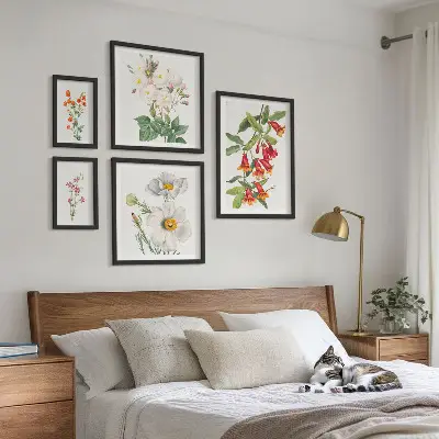 Cvjetne botaničke ilustracije set od 5 slika u okviru