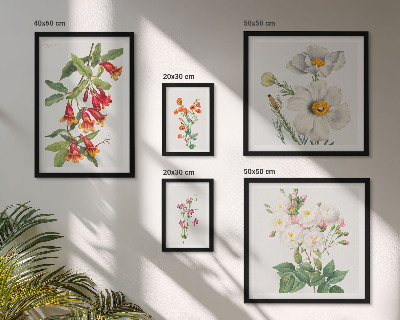 Set 5 slika u okviru Cvjetne botaničke ilustracije