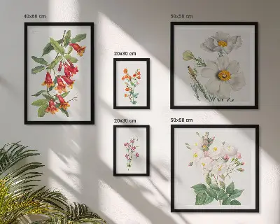 Cvjetne botaničke ilustracije set od 5 slika u okviru