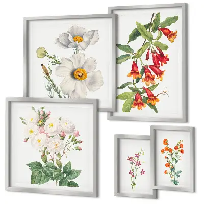 Cvjetne botaničke ilustracije set od 5 slika u okviru