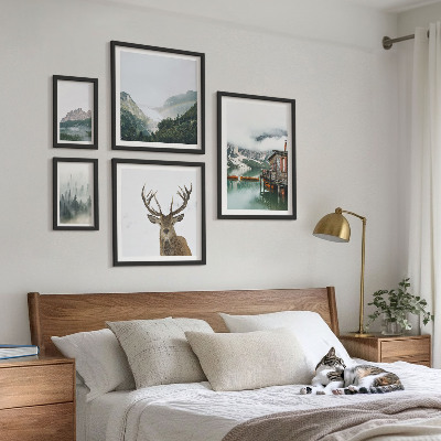 Set 5 slika u okviru Planinski prirodni krajolici