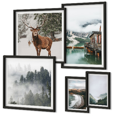 Set 5 slika u okviru Priroda divlje životinje planine