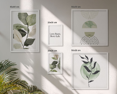 Set 5 slika u okviru Elegantna grafika interijera biljaka