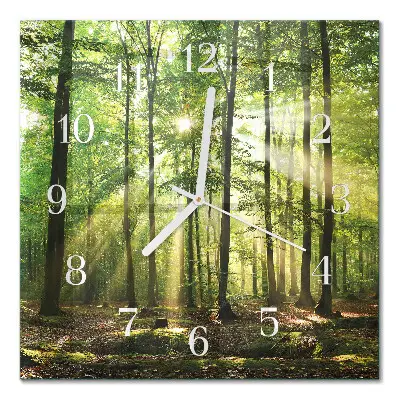Stakleni četvrtasti sat Šumska priroda