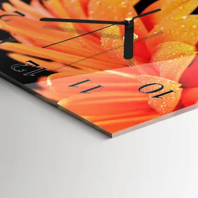 Stakleni sat Gerbera