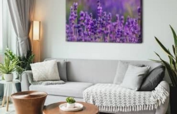 Uređujemo dnevni boravak u provansalskom stilu! Inspiracije i ideje za rustikalni interijer