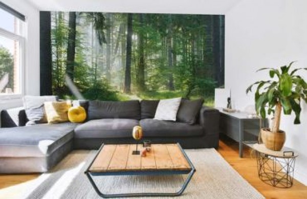 Foto tapeta za dnevni boravak - kako odabrati savršen motiv i stvoriti jedinstveni prostor