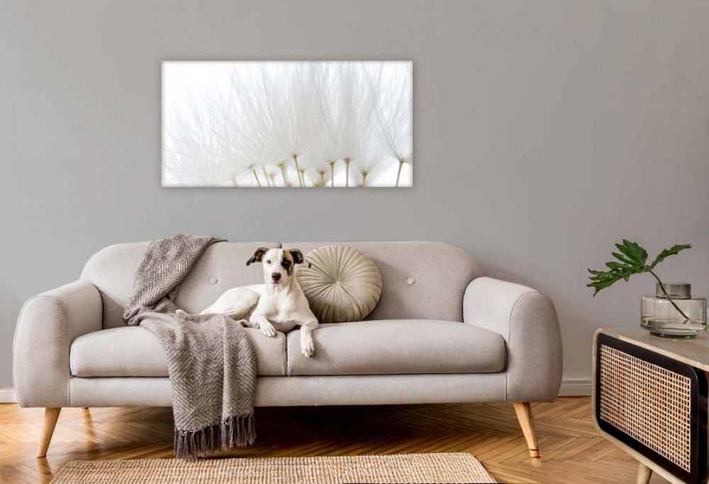 boja interijera 2026